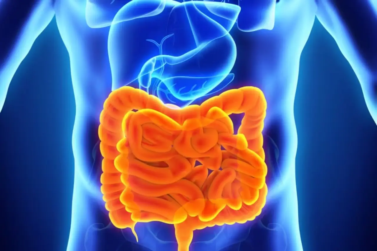 5 errori comuni che rallentano il metabolismo: cosa evitare per restare in forma 5 errori comuni che rallentano il metabolismo: cosa evitare per restare in forma