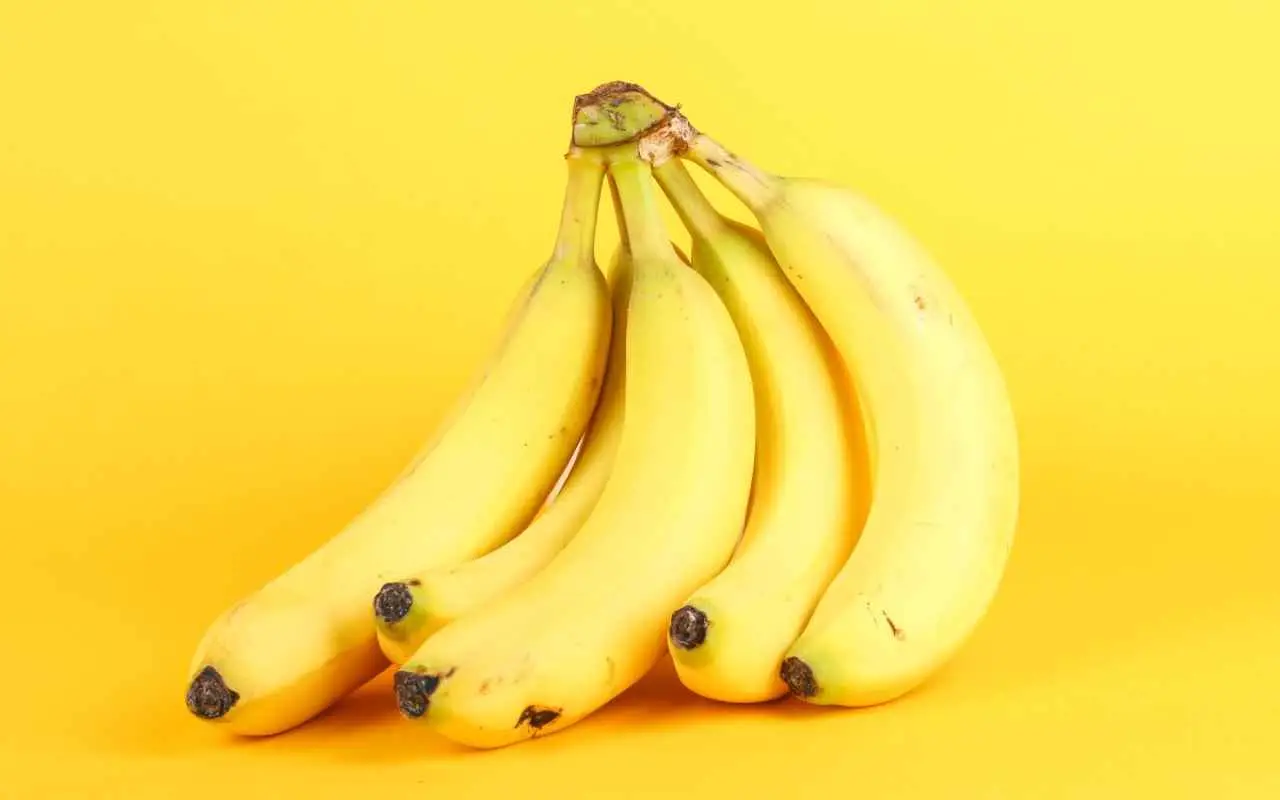 Pressione alta dopo i 50 anni: i 3 superfood estivi raccomandati dai cardiologi Pressione alta dopo i 50 anni: i 3 superfood estivi raccomandati dai cardiologi