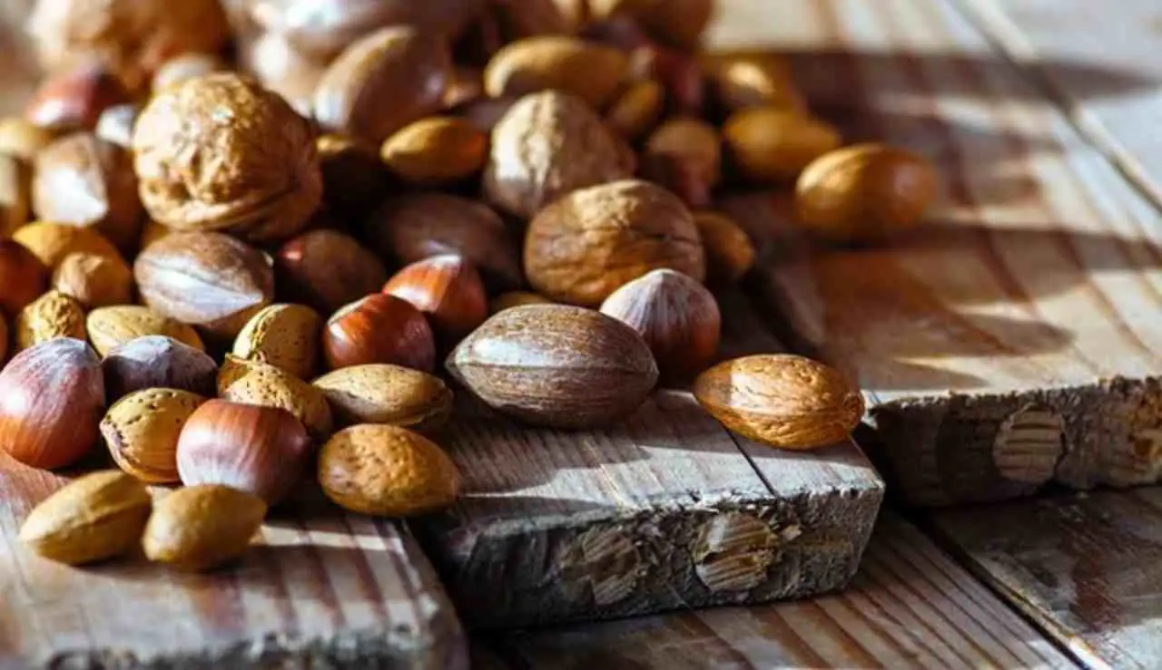 Ricarica la memoria a giugno: la frutta secca consigliata dai neurologi italiani per il cervello attivo Ricarica la memoria a giugno: la frutta secca consigliata dai neurologi italiani per il cervello attivo