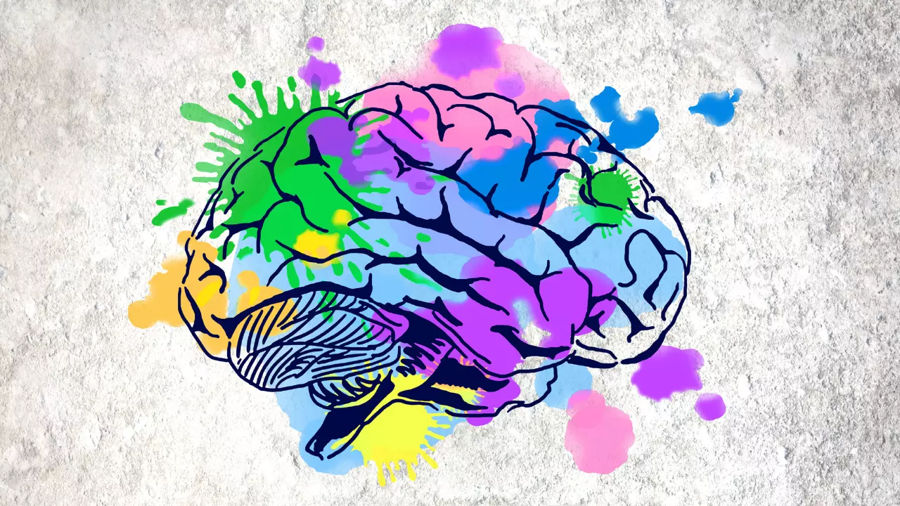 Come stimolare il cervello ogni giorno senza sforzi: il metodo che funziona davvero Come stimolare il cervello ogni giorno senza sforzi: il metodo che funziona davvero