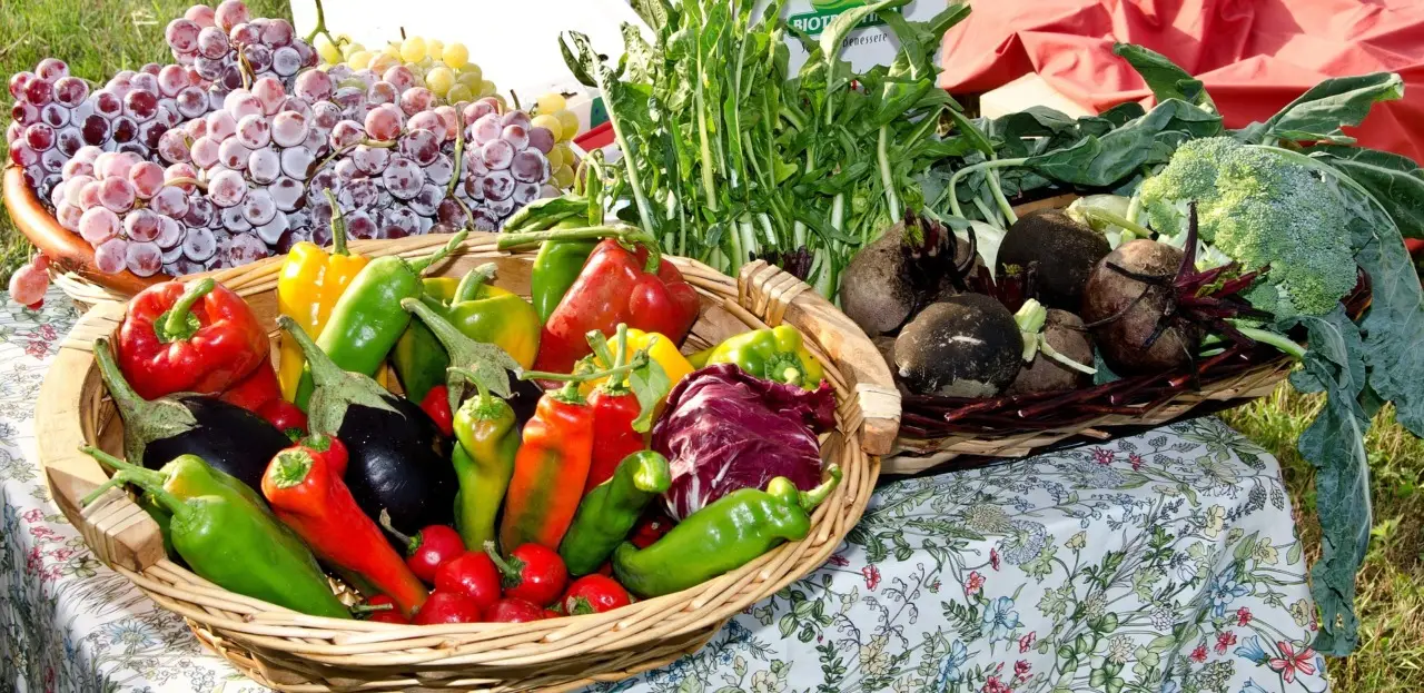 Cosa mangiare per proteggere le articolazioni in modo naturale Cosa mangiare per proteggere le articolazioni in modo naturale