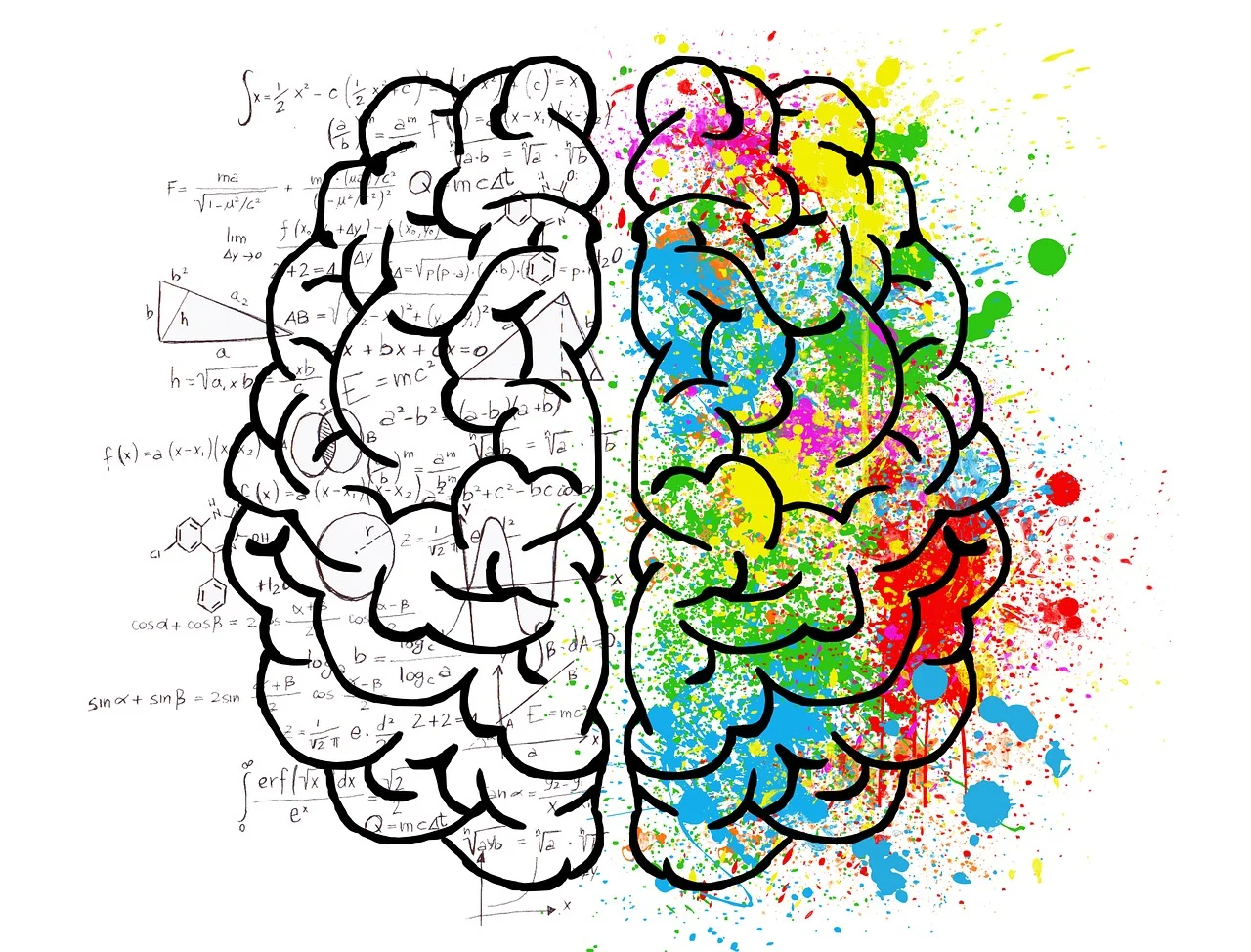 I 3 alimenti che aiutano la memoria e prevengono il declino cognitivo I 3 alimenti che aiutano la memoria e prevengono il declino cognitivo