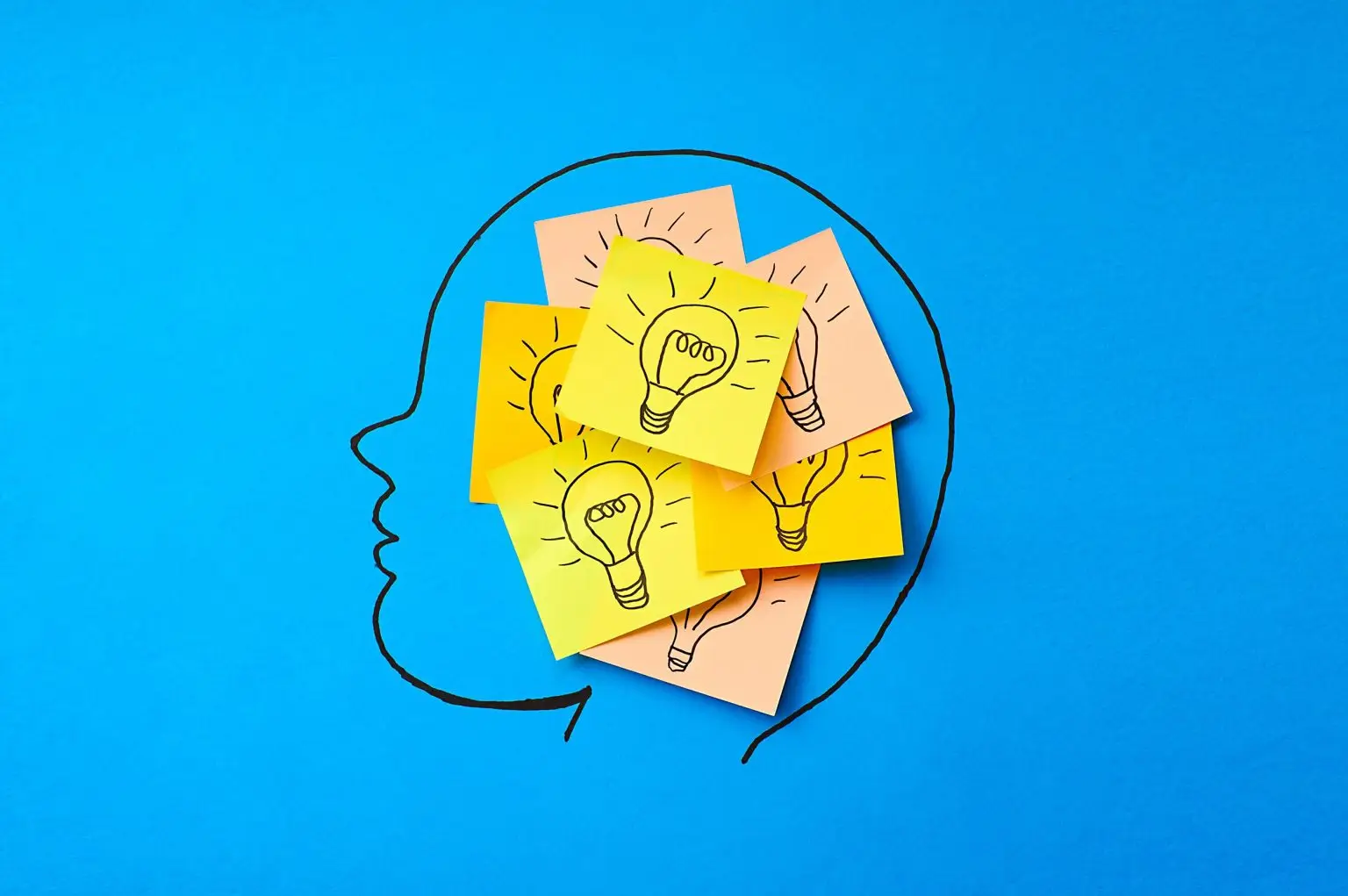 I 3 alimenti che aiutano la memoria e prevengono il declino cognitivo I 3 alimenti che aiutano la memoria e prevengono il declino cognitivo